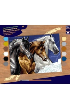 Sequin Art набор для творчества PAINTING BY NUMBERS SENIOR дикие лошади, арт. SA1040