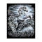 Sequin Art Набор для творчества ARTFOIL SILVER Жеребец,  код товара: SA1033