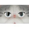 Same Toy Игрушка-перчатка Кот серый, арт. X336UT