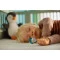 Avent Пустышка ортодонтическая ultra air animal для мальчиков 6-18 мес 2 шт, арт. SCF080/07