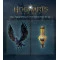 Games Software Hogwarts Legacy [Blu-Ray диск] (PS4), арт. 5051895413418