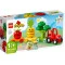 LEGO Конструктор DUPLO My First Трактор для выращивания фруктов и овощей, 10982 купить в Украине, цена | NaDitok
