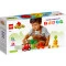 LEGO Конструктор DUPLO My First Трактор для выращивания фруктов и овощей, 10982 купить в Украине, цена | NaDitok