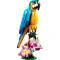 LEGO Конструктор Creator экзотический попугай, арт. 31136