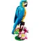 LEGO Конструктор Creator экзотический попугай, арт. 31136