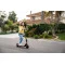 Segway Электросамокат Ninebot детский C2, оранжевый, aa.10.04.01.0013