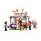 LEGO Конструктор Friends Тренировка лошади, 41746 купить в Украине, цена | NaDitok