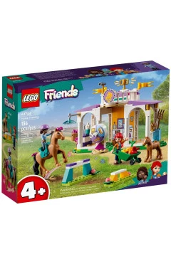 LEGO Конструктор Friends Тренировка лошади