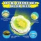 Infinity Nado Волчок VI серия Standard Pack Lighting Leopard Ослепительный Леопард, арт. EU654124