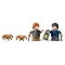 LEGO Конструктор Harry Potter араґог у забороненому лісі, арт. 76434