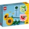 LEGO Конструктор Icons подсолнухи, арт. 40524