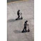 Электросамокат Segway-Ninebot MAX G3 E, серый, арт. AA.05.16.01.0004