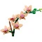 Конструктор LEGO Botanicals мини орхидея, арт. 10343