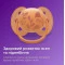 Пустышка Avent Ultra Soft, 6-18 мес., дизайн для девушек, 2 шт.