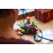 Конструктор LEGO Botanicals сукуленты, арт. 10309-