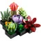 Конструктор LEGO Botanicals сукуленты, арт. 10309-