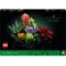 Конструктор LEGO Botanicals сукуленты, арт. 10309-