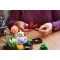 Конструктор LEGO Botanicals сукуленты, арт. 10309-