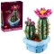Конструктор LEGO Botanicals цветение кактуса, арт. 11509