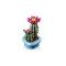 Конструктор LEGO Botanicals цветение кактуса, арт. 11509