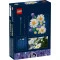 Конструктор LEGO Botanicals ромашки, арт. 11508