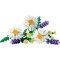 Конструктор LEGO Botanicals ромашки, арт. 11508