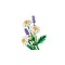 Конструктор LEGO Botanicals ромашки, арт. 11508