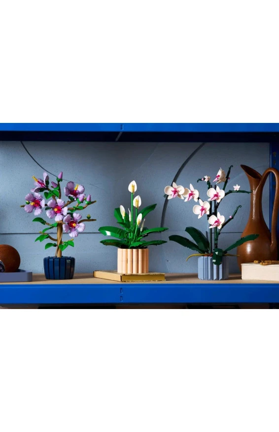 Конструктор LEGO Botanicals спатифиллум, арт. 11504