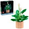 Конструктор LEGO Botanicals спатифиллум, арт. 11504