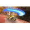 Гра консольна Switch 2 kirby air riders, картридж, арт. 0045496313142