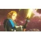 Игра консольная switch 2 hyrule warriors age of imprisonment, картридж, арт. 0045496313500