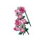 Конструктор LEGO Botanicals Букет рожевих троянд, арт. 10374