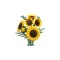 Конструктор LEGO Botanicals букет соняшників, арт. 11502