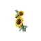 Конструктор LEGO Botanicals букет соняшників, арт. 11502