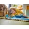 Конструктор LEGO City преследование на полицейском катере, арт. 60456