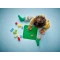 Конструктор LEGO DUPLO Classic зелёная строительная пластина, арт. 10460