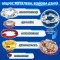 Игровой набор Infinity Nado VII Power Battle Thunder Shadow Hunter vs Fiery Blast Wheel, арт. EU664180