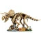 Конструктор LEGO Jurassic World скам’янілості динозаврів: трицератопс, арт. 77985