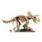 Конструктор LEGO Jurassic World скам’янілості динозаврів: трицератопс, арт. 77985