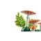 Конструктор LEGO Botanicals лісові гриби, арт. 11505
