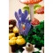 Конструктор LEGO Botanicals лісові гриби, арт. 11505