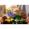 Конструктор LEGO Botanicals лісові гриби, арт. 11505