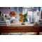 Конструктор LEGO Harry Potter герб гуртожитку Гоґвортса, арт. 76462