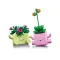 Конструктор LEGO Botanicals рослини, що котяться, арт. 11506