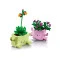 Конструктор LEGO Botanicals рослини, що котяться, арт. 11506