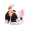 Интерактивная игрушка FURREAL серии 