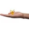 Набор игровых фигурок POKEMON - адвент-календарь 2023 (24 фигурки), арт. PKW3066