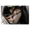 Автокресло FreeON Pollo i-Size 40-150 см, серый, арт. 82559