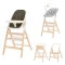 Стул для кормления CARRELLO Ergo CRL-16701 pine green /1/ MOQ