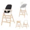 Стілець для годування CARRELLO Ergo CRL-16701 obsidian black /1/ MOQ